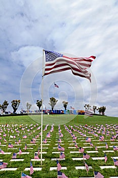 American Flag and Headstones at United States National Cemetery