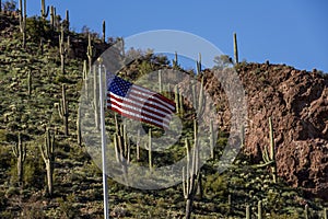 American flag on a hill in Arizona with a background of saguaro cactus