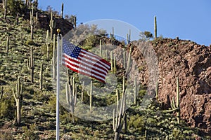 American flag on a hill in Arizona with a background of saguaro cactus