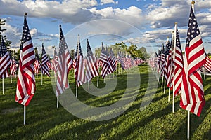 American flag patriotic independence veterans day patriotism celebration grass