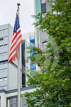 American flag on a pole