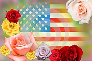 American flag and rose