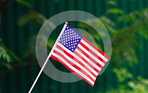 American Flag waving in the green grass background