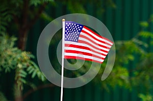 American Flag waving in the green grass background