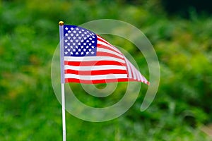 American Flag waving in the green grass background