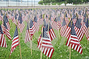 American Flags