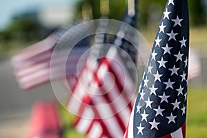 Americann Flags all in a row photo