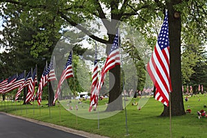 American flags along a roadside