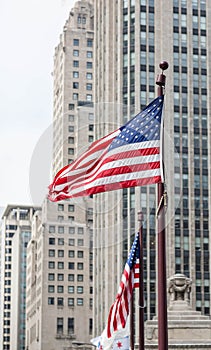 American Flags in Chicago