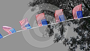 American Flags Color On Monochrome Patriotic Concept