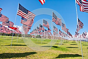 American flags displaying on Memorial Day