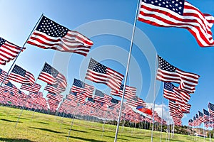 American flags displaying on Memorial Day