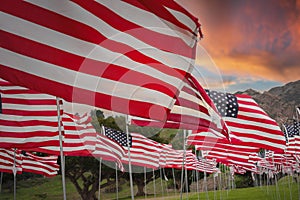 American Flags Fluttering in Sunset Sky, California Coast