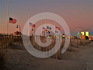 American Flags Flying at Half Staff