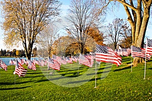 American flags flying in honor of veterans