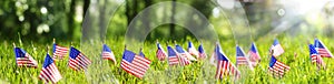 American Flags In Grass -Memorial Day