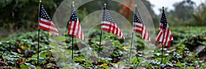 American flags on graves of veterans on memorial day in national cemetery with space for text