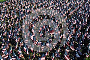 American Flags in Honor of Our Veterans