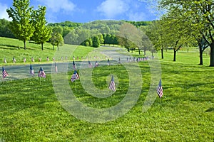 American Flags Line The Raod On Memorial Day