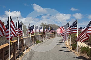 American flags. Memorial Day, Independence Day and Veterans Day