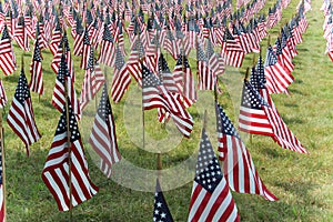 American flags