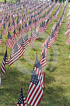 American flags