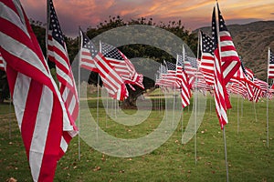 American flags in scenic California field, sunset atmosphere