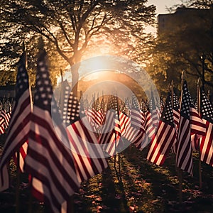 American flags set up for happy Veterans Day, Memorial Day, and Independence Day. Afternoon sun