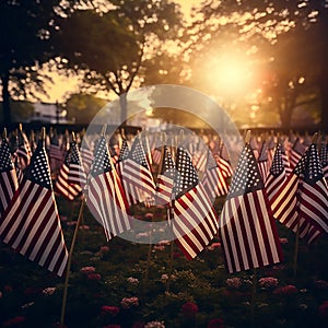 American flags set up for happy Veterans Day, Memorial Day, and Independence Day. Afternoon sun