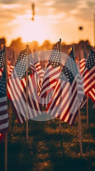 American flags set up for happy Veterans Day, Memorial Day, and Independence Day. Afternoon sun