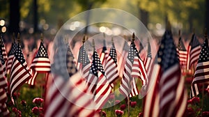 American flags set up for happy Veterans Day, Memorial Day, and Independence Day. Afternoon sun