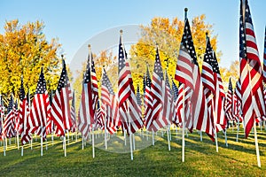 American flags standing in the green field