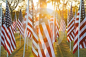 American flags display at beautiful sunrise