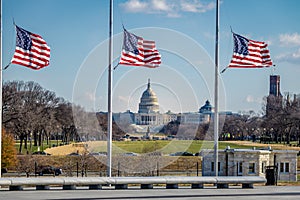 American Flags with US Capitol on background - Washington, D.C., USA