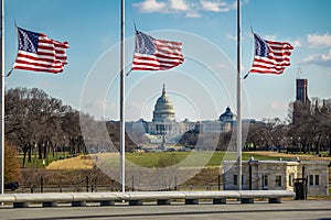 American Flags with US Capitol on background - Washington, D.C., USA