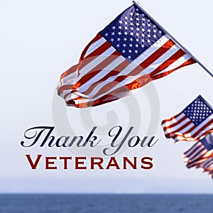 Americano banderas veteranos un saludo 