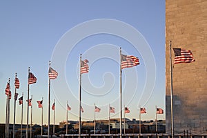 American Flags in Washington, DC