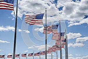 American Flags In Washington DC