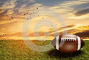 American football ball on green grass field on background of sunset sky. Banner.