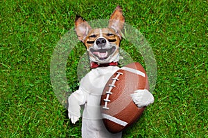 American football dog
