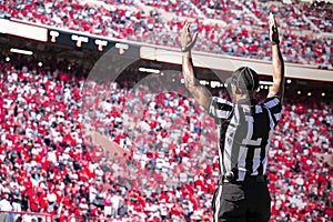 American Football Referee official signals a touchdown in a large football stadium.