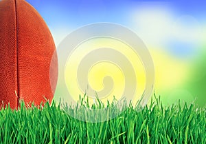 American football (rugby ball) on green grass over nature