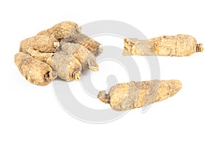 American ginseng