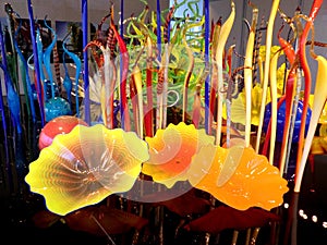 American glass sculptor and entrepreneur Dale Chihuly`s work displayed at Clinton Presidential Center