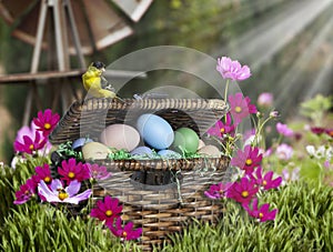 American Gold Finch on Easter Basket