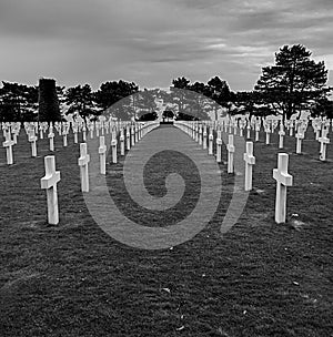 American graveyard from World war two photo