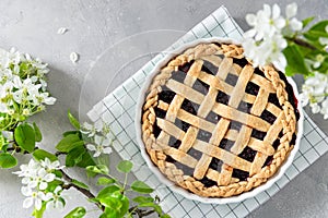 American homemade cherry pie on gray concrete background with flowering branches. Horizontal, top view. Cook book recipe, bakery