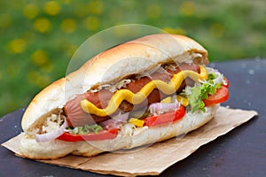 American hot dog sandwich with pork or beef sausage