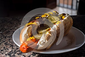 american hot dog with sausage, mustard, pickle and barbecue sauce, selective focus and copy space