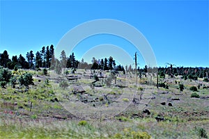 American Legion Post 86 Freedom Gathering Ride fund raiser in Northern Arizona, United States